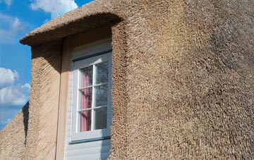 Carmyle thatch roof disadvantages
